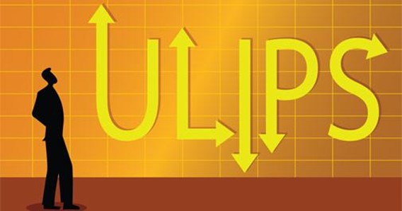 ULIPs Types: All You Need to Know - ask.CAREERS