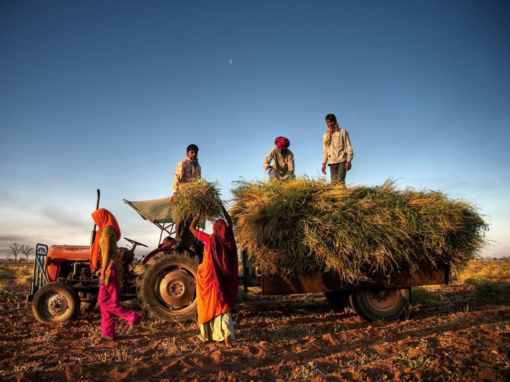 Mukesh Ambani Backs PM Narendra Modi’s Agenda, Promises to Double Farmers’ Income with Technology