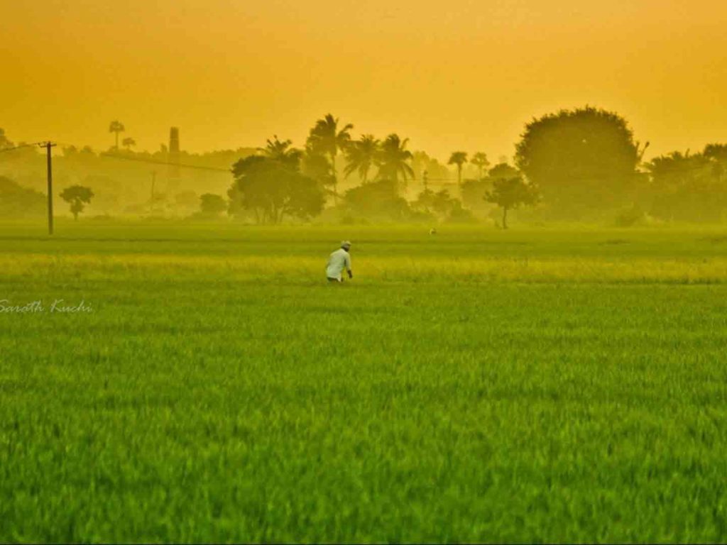 Chhattisgarh CM Follows Kamal Nath’s Lead, Announces ₹61 bn Farm Loan Waiver