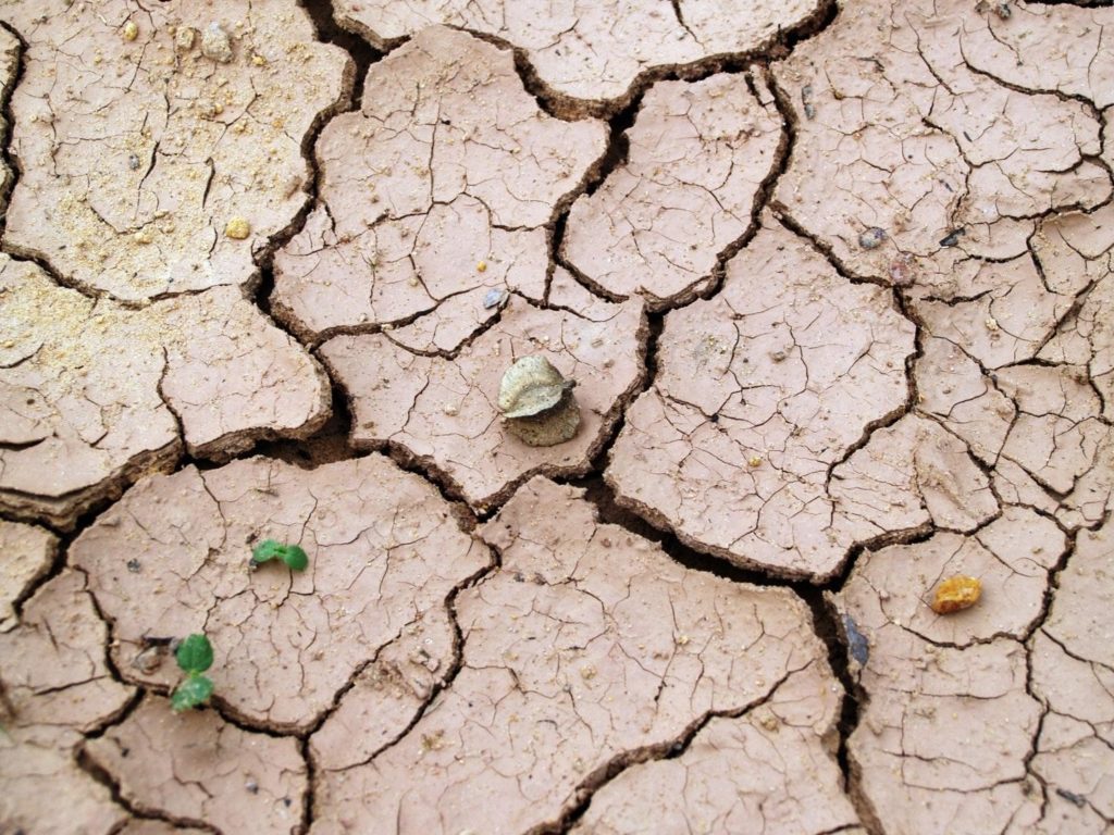 21 cr Drought Assistance Given to Over 51,000 Farmers in Maharashtra
