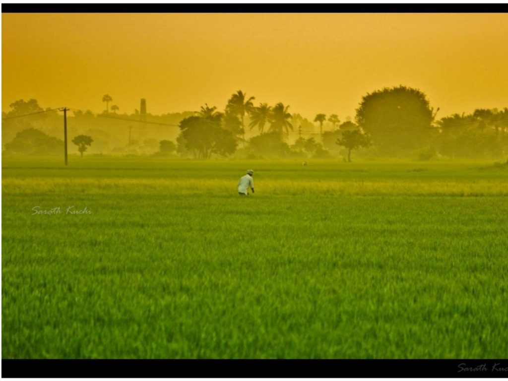 ₹55,000 cr for Rural Development Schemes to be Raised by Nabard from Market