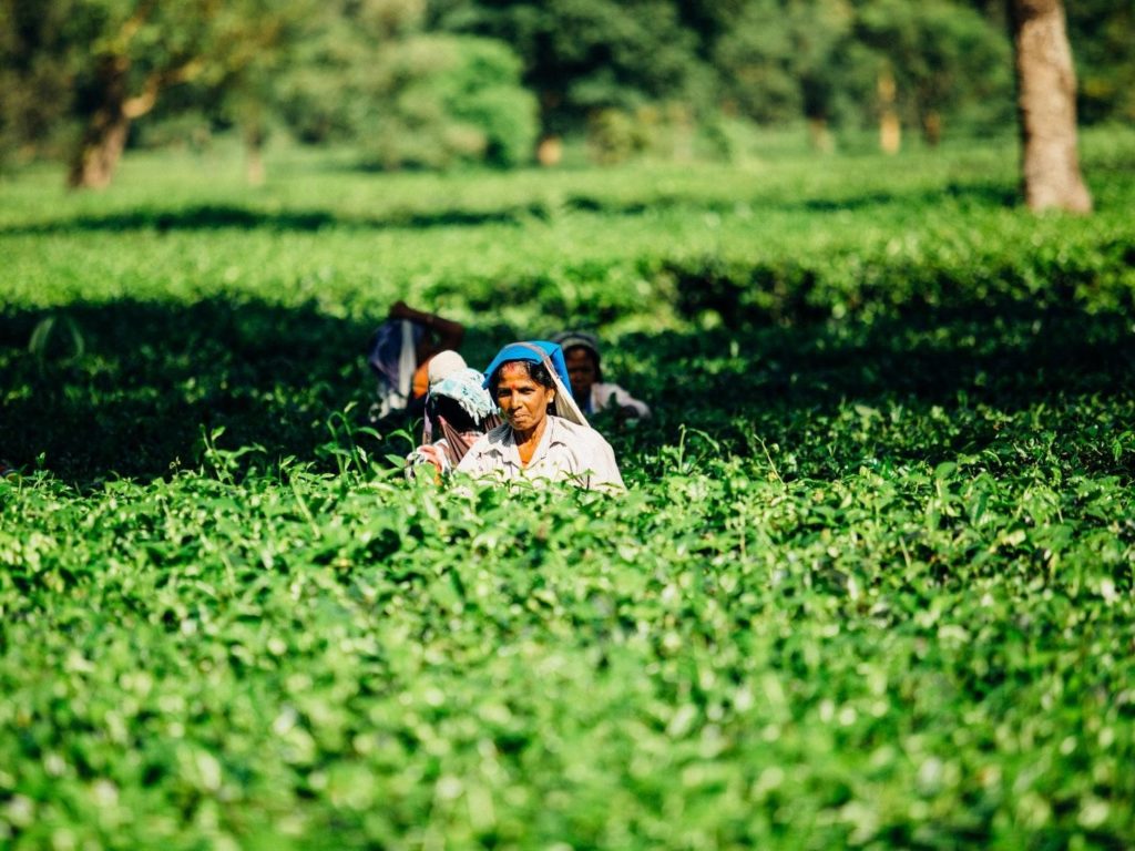 More Women in India Have Self-Employment than Salaried Jobs