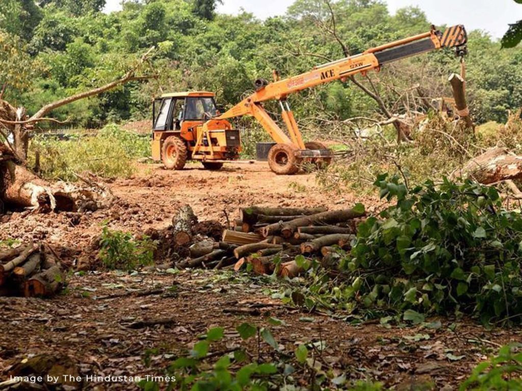 No more trees to be cut in Aarey till next hearing on Oct 21: Supreme Court